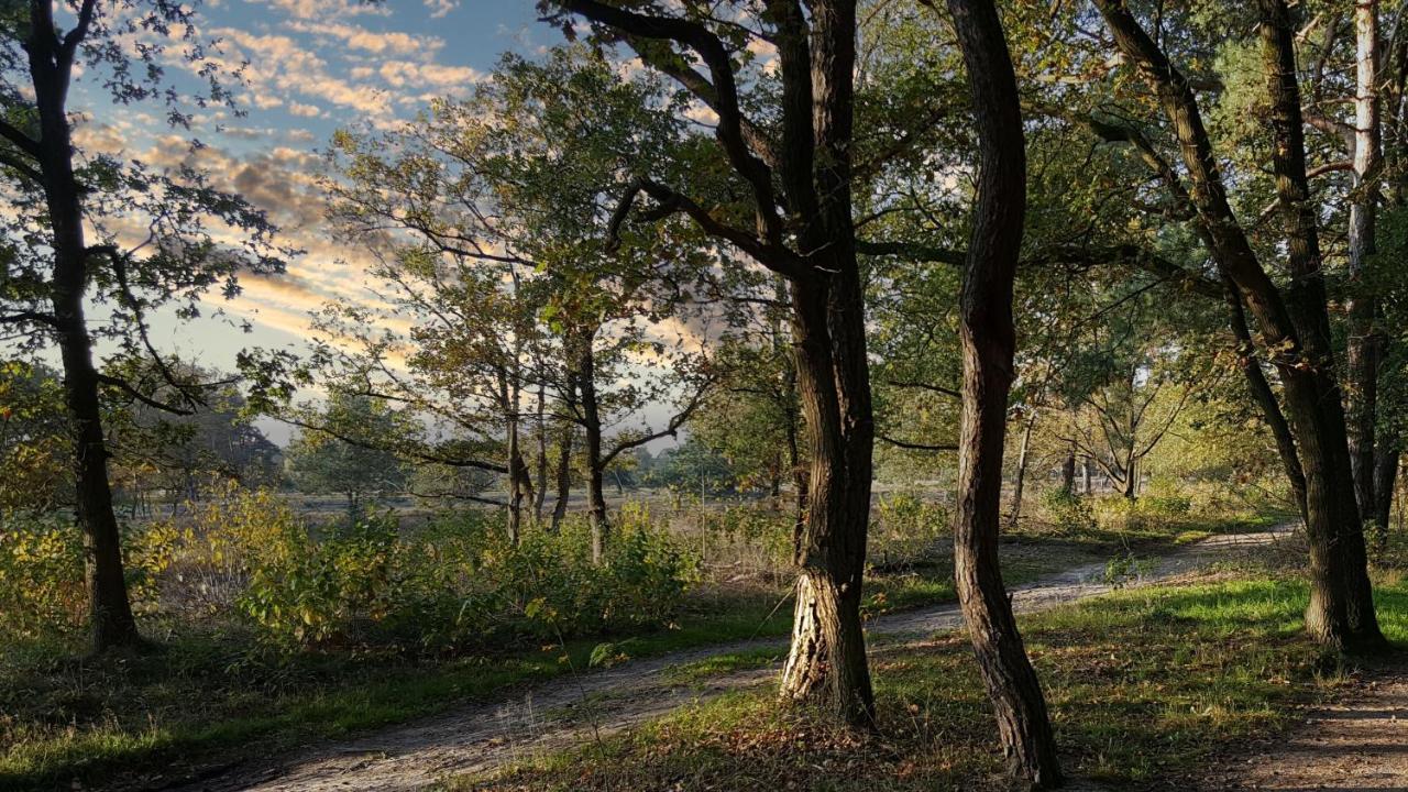 Fewo Grafschaft Nordhorn Eksteriør bilde
