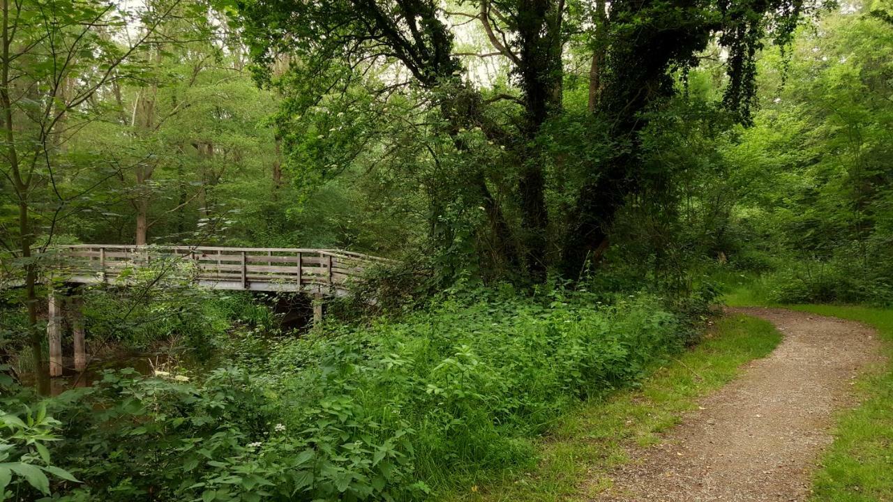 Fewo Grafschaft Nordhorn Eksteriør bilde