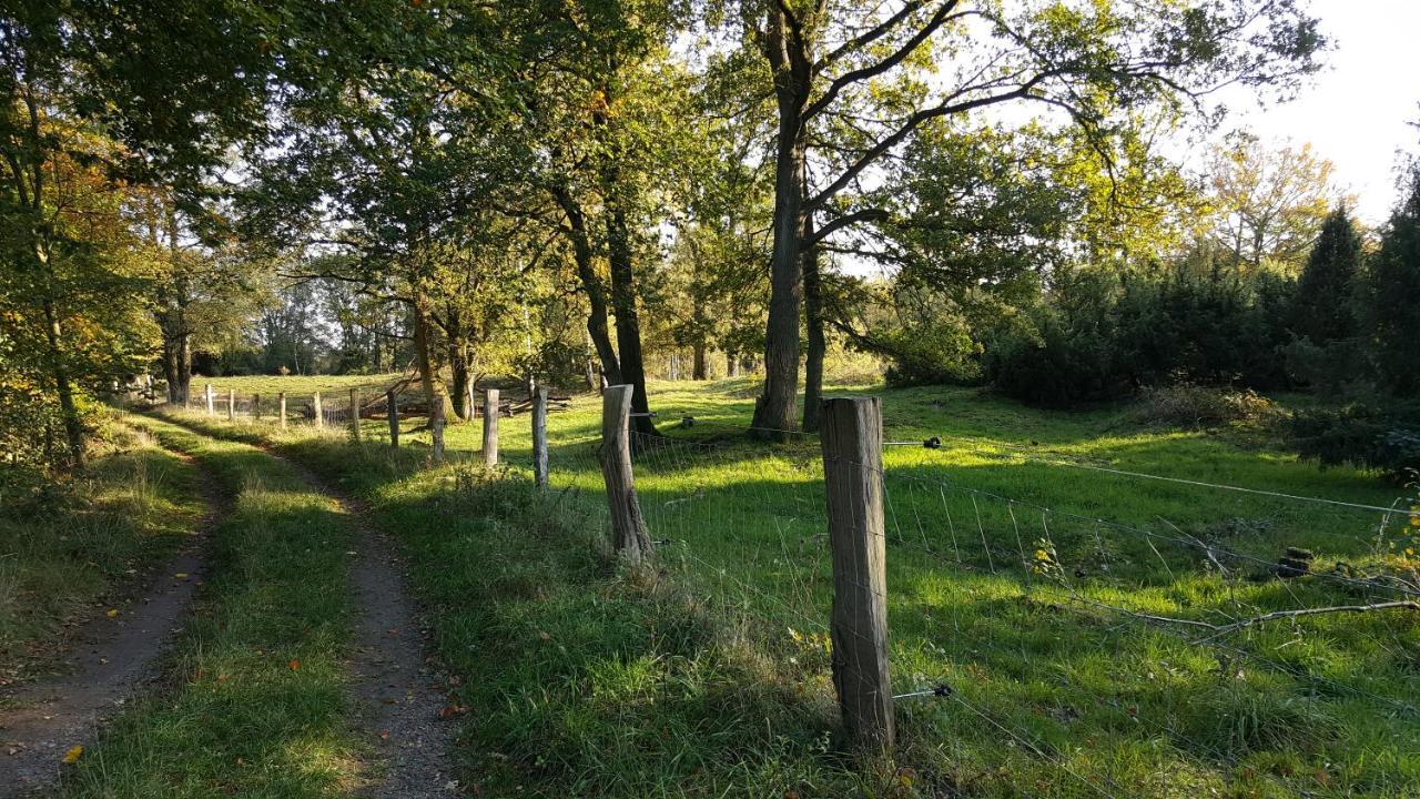 Fewo Grafschaft Nordhorn Eksteriør bilde